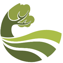 LSL Lawn Service