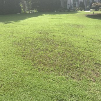 Turf Masters Lawn Care - Lawn Services Near Me - Alpharetta, Georgia Turf Masters Lawn Care - Lawn Services Near Me - Alpharetta, Georgia