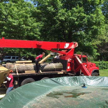 Amazing Tree Services - Tree Services Near Me - Dover, New Jersey