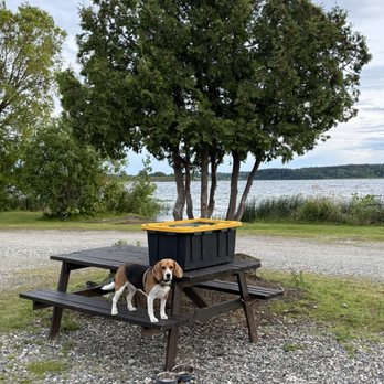 Robert's Roost RV Park - Dog by lake - Hotels Near Me - Quesnel, British Columbia