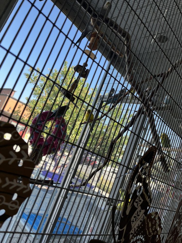 SAN DIMAS GRAIN - 43 Photos & 115 Reviews - 142 W Bonita Ave, San Dimas