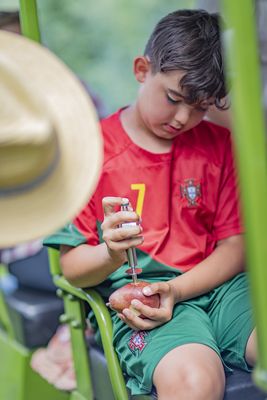 The Fruit Company - Factory Experience by null