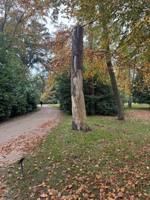 Cliveden House by null
