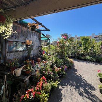 West Valley Nursery - Pretty selections - Nurseries & Gardening Near Me - Tarzana, California West Valley Nursery - Pretty selections - Nurseries & Gardening Near Me - Tarzana, California