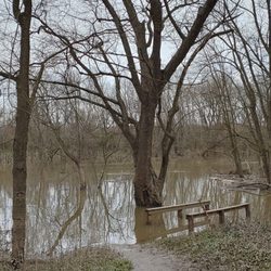 The river was flooded.