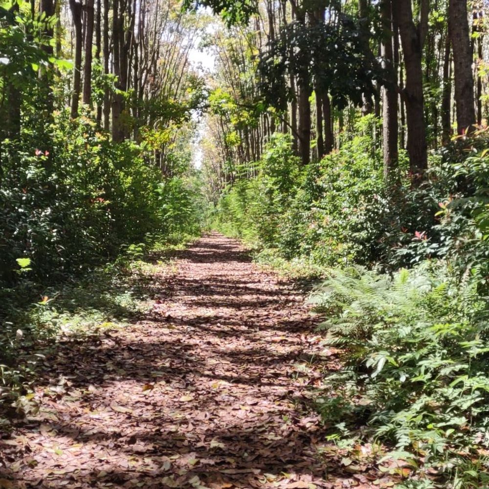 Stone Dam - Trail - Parks Near Me Stone Dam - Trail - Parks Near Me
