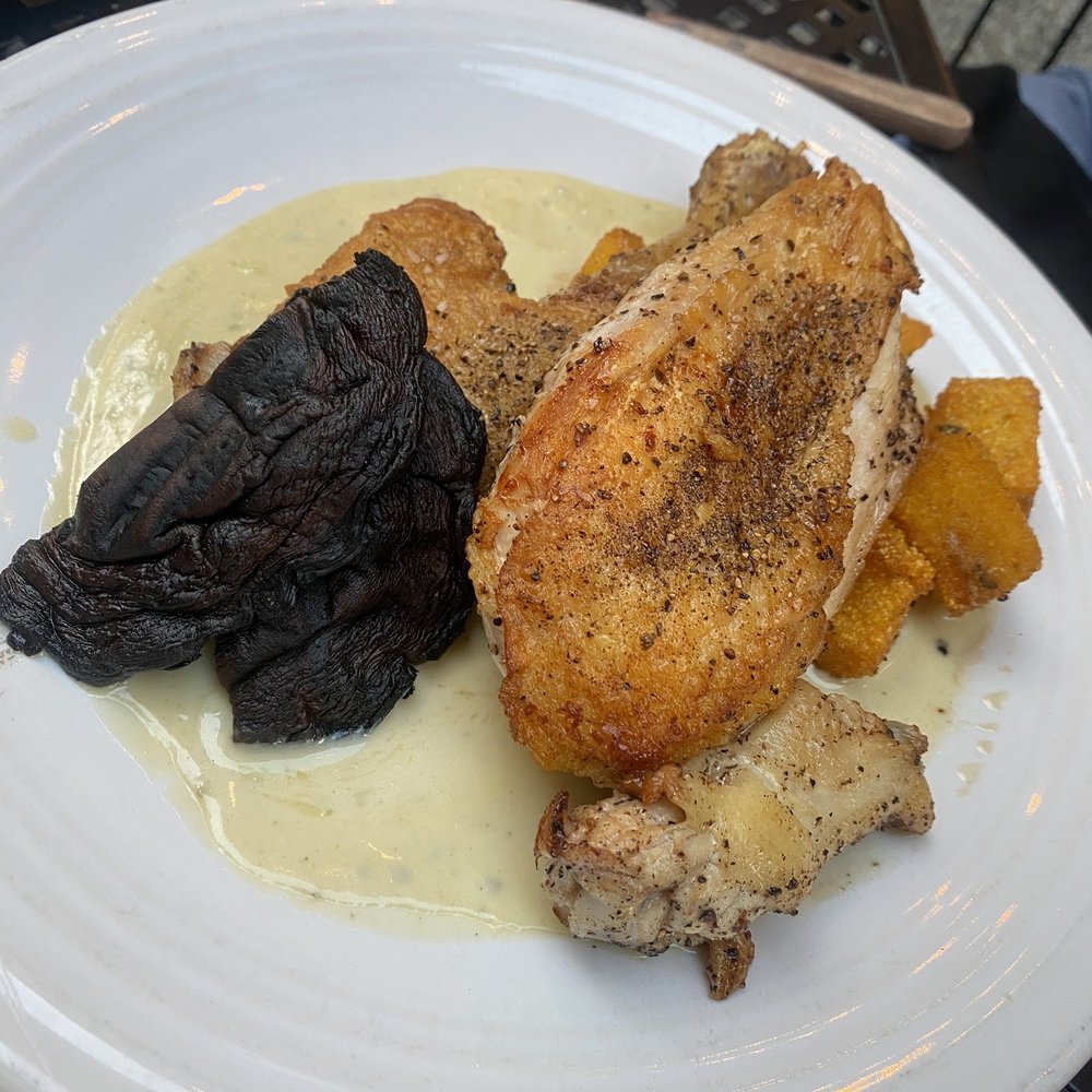 Mizuna - Chicken with Gorgonzola cream sauce. SO good. - New American Near Me - Spokane, Washington