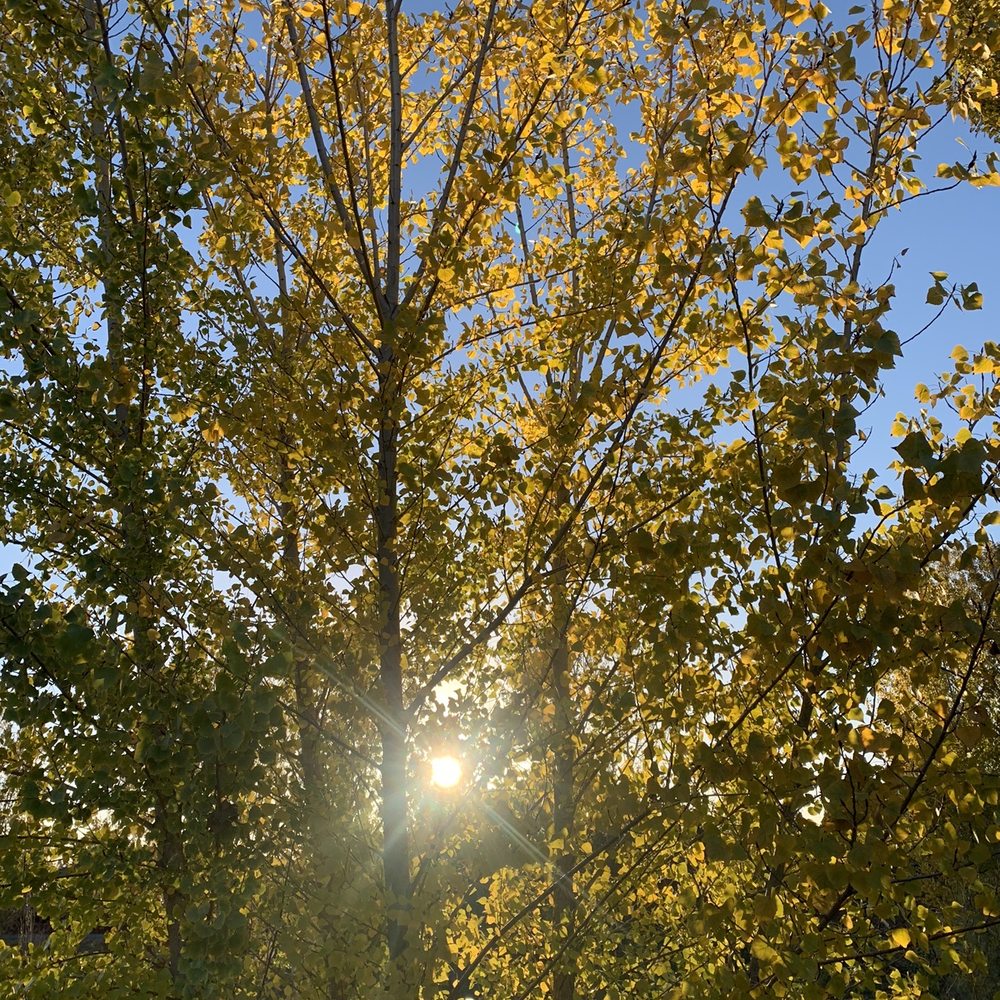 Creekside Park - Parks Near Me - Oakley, California