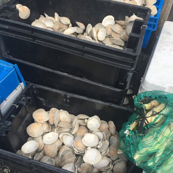 Sesuit Harbor Cafe - Huge clams! - Seafood Near Me - Dennis, Massachusetts Sesuit Harbor Cafe - Huge clams! - Seafood Near Me - Dennis, Massachusetts