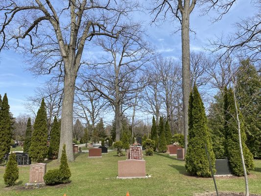 Mount Pleasant Cemetery by null