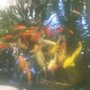 Photo of Mid Valley Landscape and Pond Creations