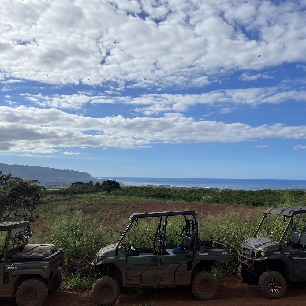 North Shore EcoTours - Hiking Near Me - Haleiwa, Hawaii North Shore EcoTours - Hiking Near Me - Haleiwa, Hawaii