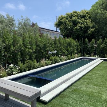 Green Grass Landscaping - Chris did all of the planting/lighting/irrigation around the edge of the pool. - Landscaping Near Me