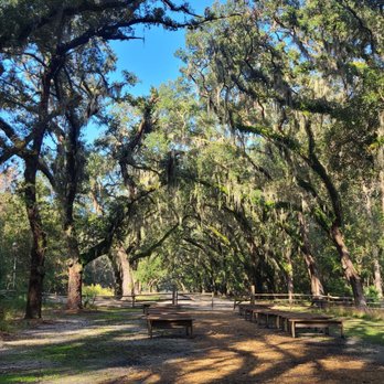 Wormsloe State Historic Site - Landmarks & Historical Buildings Near Me - Savannah, Georgia