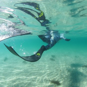 Dive California - Swimming out to training spot. - Scuba Diving Near Me