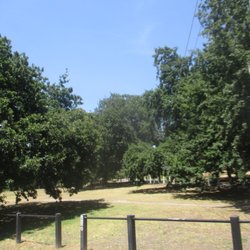 Park