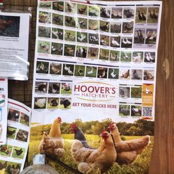 Standard Feed and Seed - Resources - great customer service.