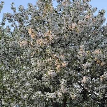 Edwards Gardens - Parks Near Me - North York, Ontario