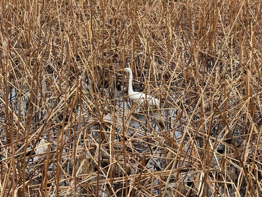 Ueno Park by null Ueno Park by null