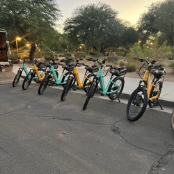 Prickly Pair E-Bike Tours