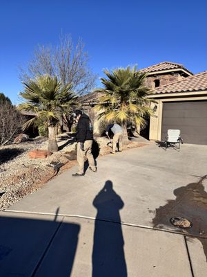 Dino Plumbing & Service Pros