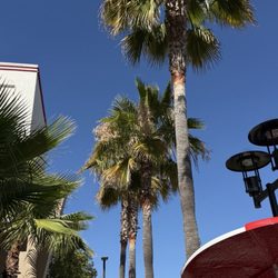 Outdoor with shaded umbrella