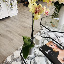 Hair Dreams Salon