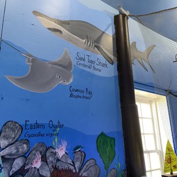 Glen Echo Park Aquarium - Aquariums Near Me - Glen Echo, Maryland