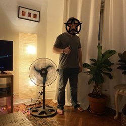 The Plant House - Plant that was delivered standing next to 5'3" person. Clearly, not a 5-6ft plant.