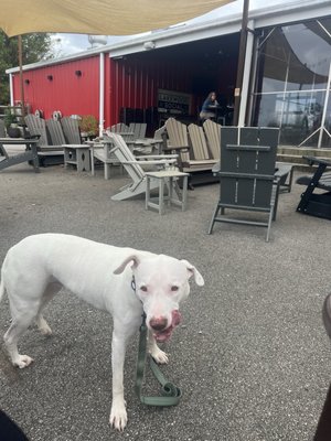 Lakewood Social by null