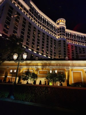 Bellagio Pool by null