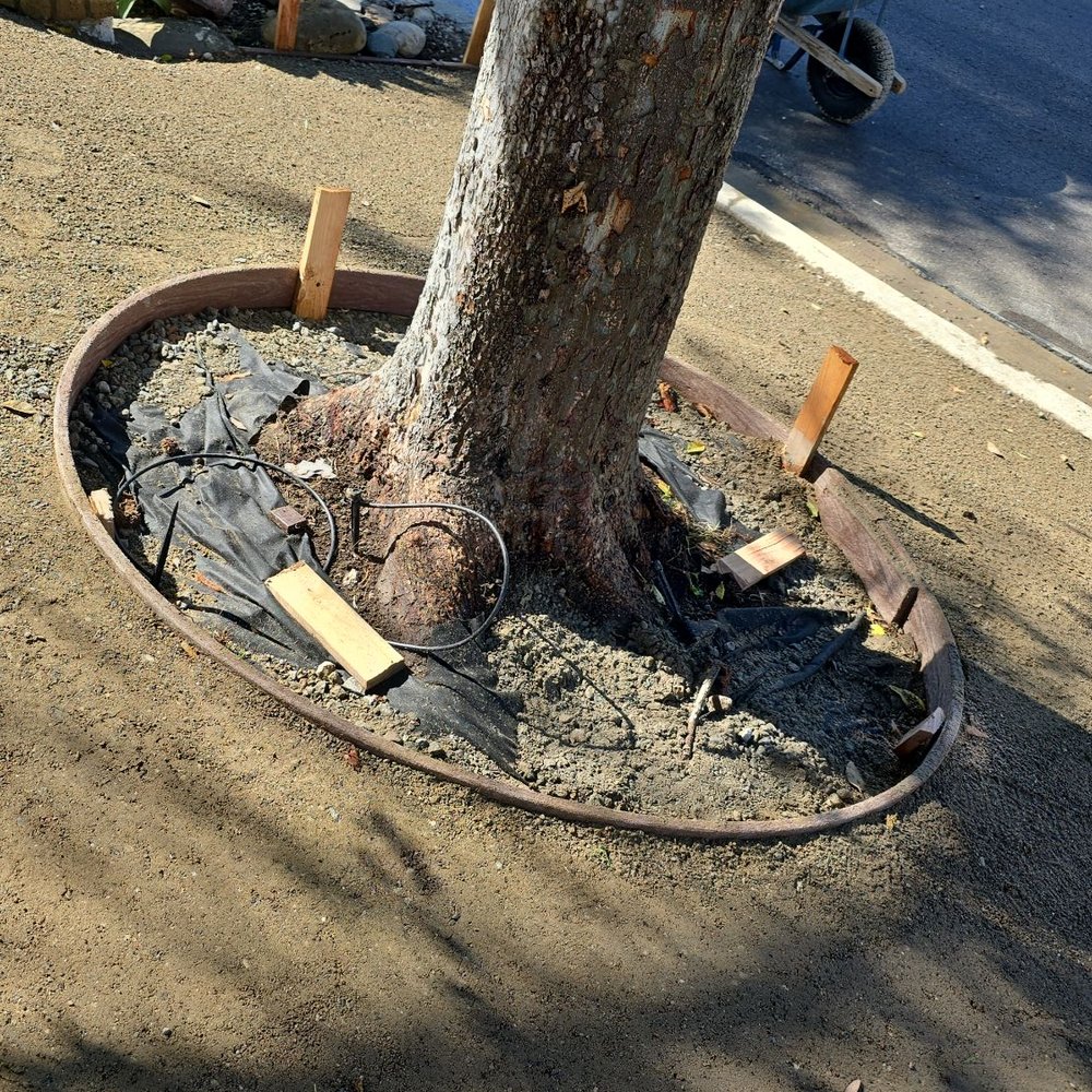 US Turf - Perfect tree ring size, with the roots. It actually worked out pretty well: one bag 1.5 cubic ft of organic mulch. - Artificial Turf Near Me - San Diego, California US Turf - Perfect tree ring size, with the roots. It actually worked out pretty well: one bag 1.5 cubic ft of organic mulch. - Artificial Turf Near Me - San Diego, California