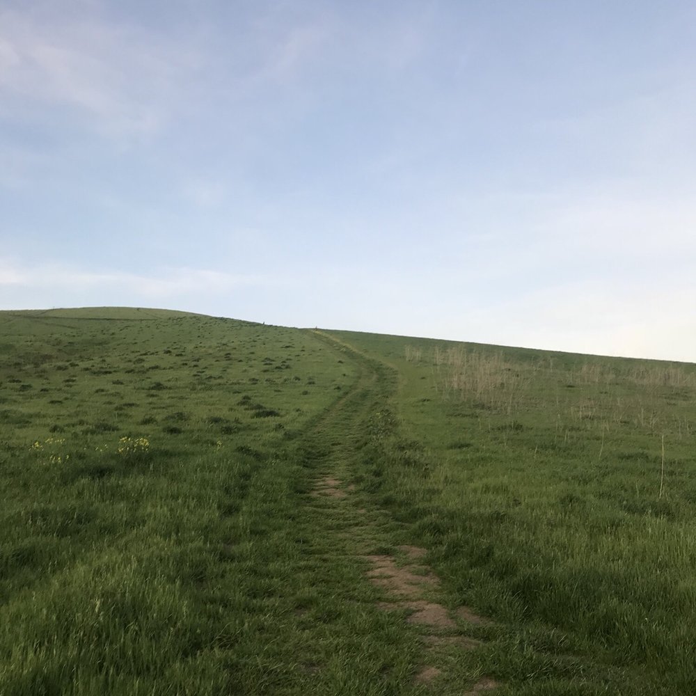 Lime Ridge Open Space - Climbing up this hill, trying to get this bootay right! Lol! - Parks Near Me - Walnut Creek, California