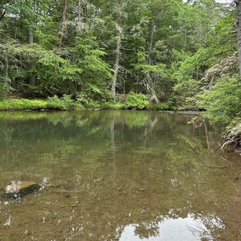 Rip Van Winkle Campgrounds - Fishing and swimming hole on the Plattekill - Campgrounds Near Me - Saugerties, New York