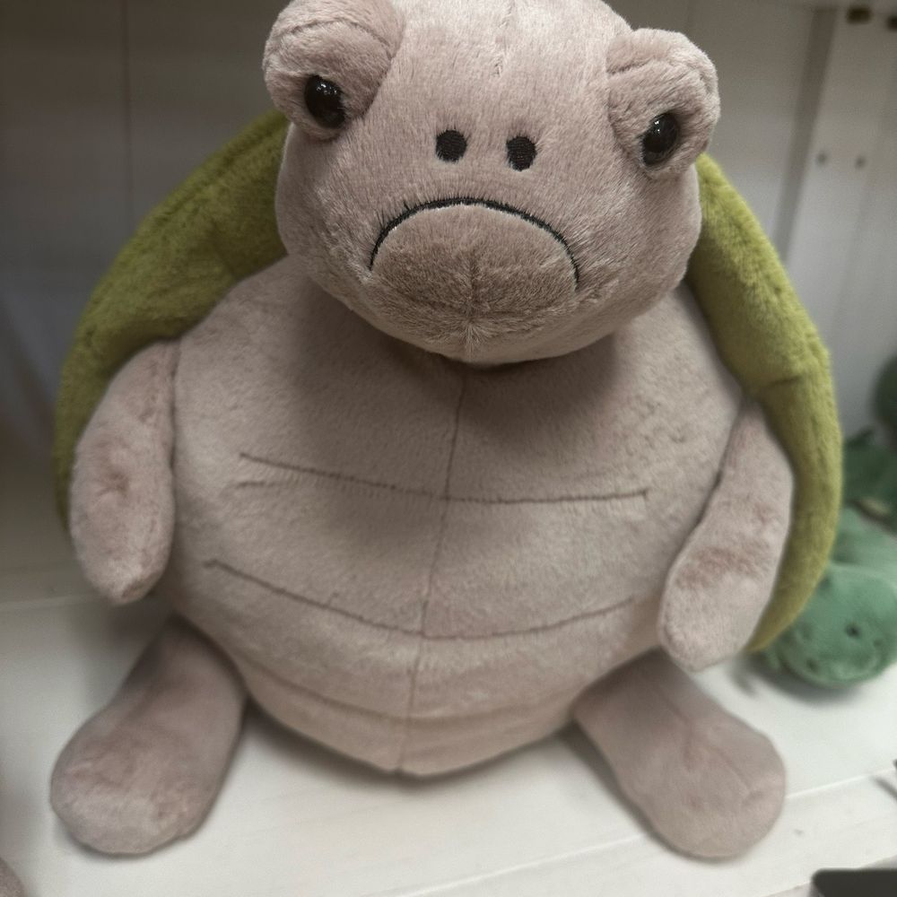 History of Naples Italy with Vintage Photos - Italian Genealogy, image size:1000x1000