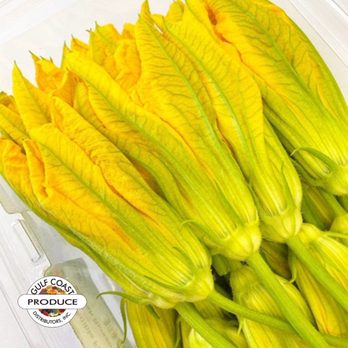 Gulf Coast Produce Distributors - yellow squash flowers - Fruits & Veggies Near Me - Biloxi, Mississippi Gulf Coast Produce Distributors - yellow squash flowers - Fruits & Veggies Near Me - Biloxi, Mississippi