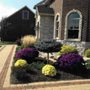 Photo of D & M Landscaping & Excavating