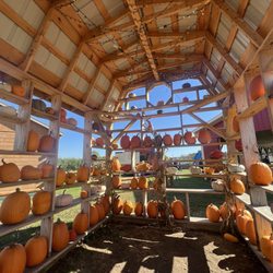 Applewood Orchards - Fall Decor