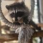 Photo of Wildlife Foster Program