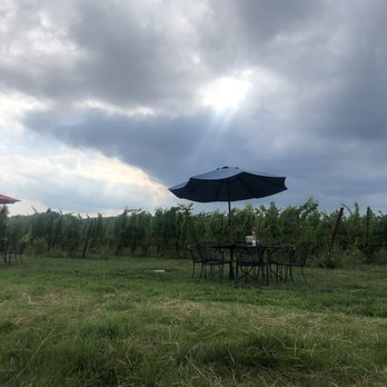 Black Ankle Vineyards - Views - Wineries Near Me - Mount Airy, Maryland Black Ankle Vineyards - Views - Wineries Near Me - Mount Airy, Maryland