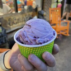 Scoops Clarkesville - Blackberry