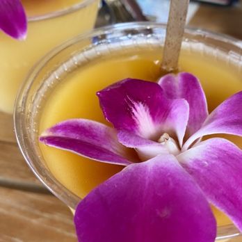 Pool Burger - Frozen Hurricanes - Tiki Bars Near Me - Austin, Texas Pool Burger - Frozen Hurricanes - Tiki Bars Near Me - Austin, Texas