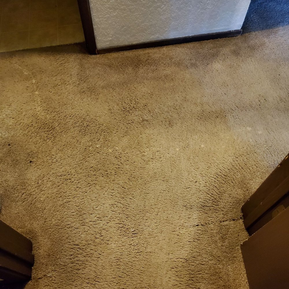 Jb Carpet Cleaning Solutions - The hallway - Carpet Cleaning Near Me Jb Carpet Cleaning Solutions - The hallway - Carpet Cleaning Near Me