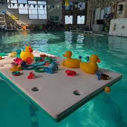 Farber Swim School - Portland - Swim time!