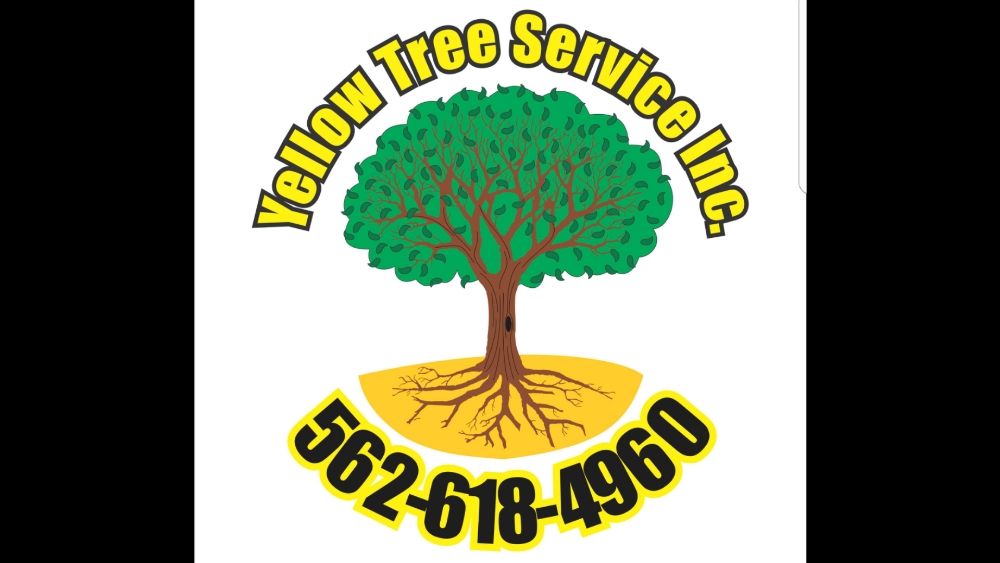 YELLOW TREE SERVICES - Updated October 2026 - 78 Reviews - 271 Photos ...