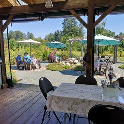 Green Dream Café - Outdoor patio seating and covered outdoor seating options