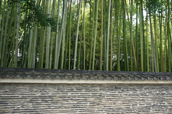 Daitoku-ji Temple by null