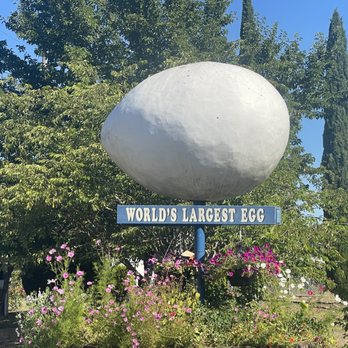 World's Largest Egg - August 22, 2025 - Weighs 1,200 pounds. - Local Flavor Near Me - Winlock, Washington