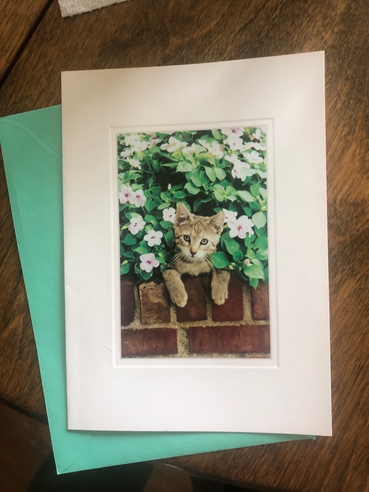 SAFE’S ATTIC Updated May 2024 370 S Broad St, Brevard, North