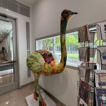 Vision Gallery - Painted Ostrich - Art Galleries Near Me - Chandler, Arizona